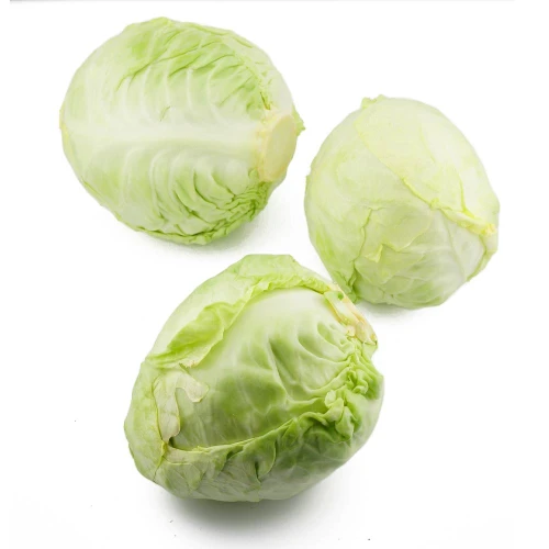 kapusta-biała-młoda.jpg