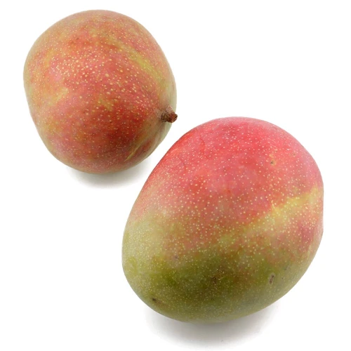 mango.jpg