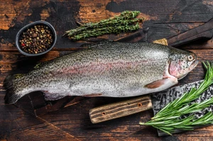 Pstrąg łososiowy (1szt=~1,5kg)