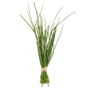 Szczypiorek