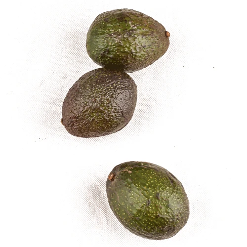 awokado.png