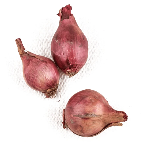 cebula-czerwona.png