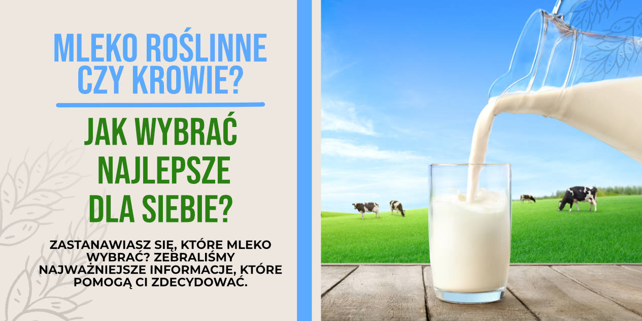 Mleko roślinne czy krowie? Jak wybrać najlepsze dla siebie – porównanie i polecane produkty