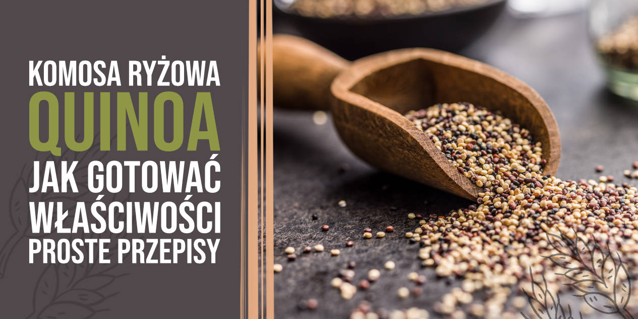 Komosa ryżowa (quinoa) – jak gotować, właściwości i przepisy